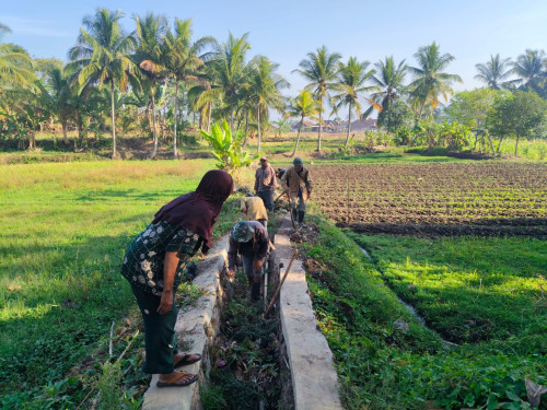 Desa Cibiuk Kaler Gambar 12